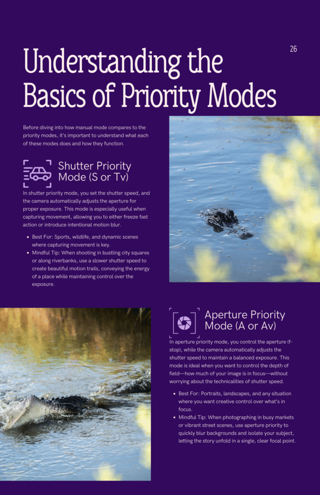 Mastering Photography: From Fundamentals to Advanced Techniques - Image 3